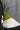 42cb9874c34d641d1c989bbde7b4449d985bbe69