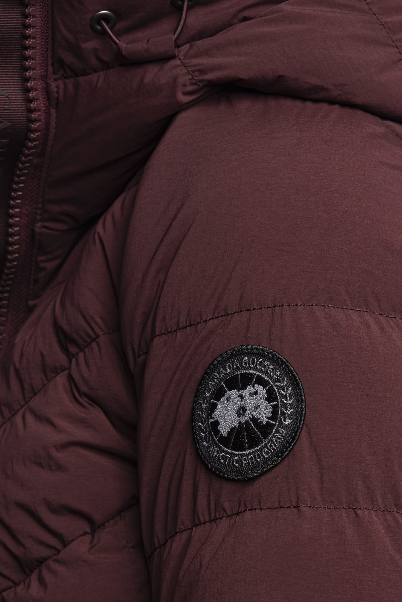 13c36d5b598813418b69de6b12d200d474d97ed8