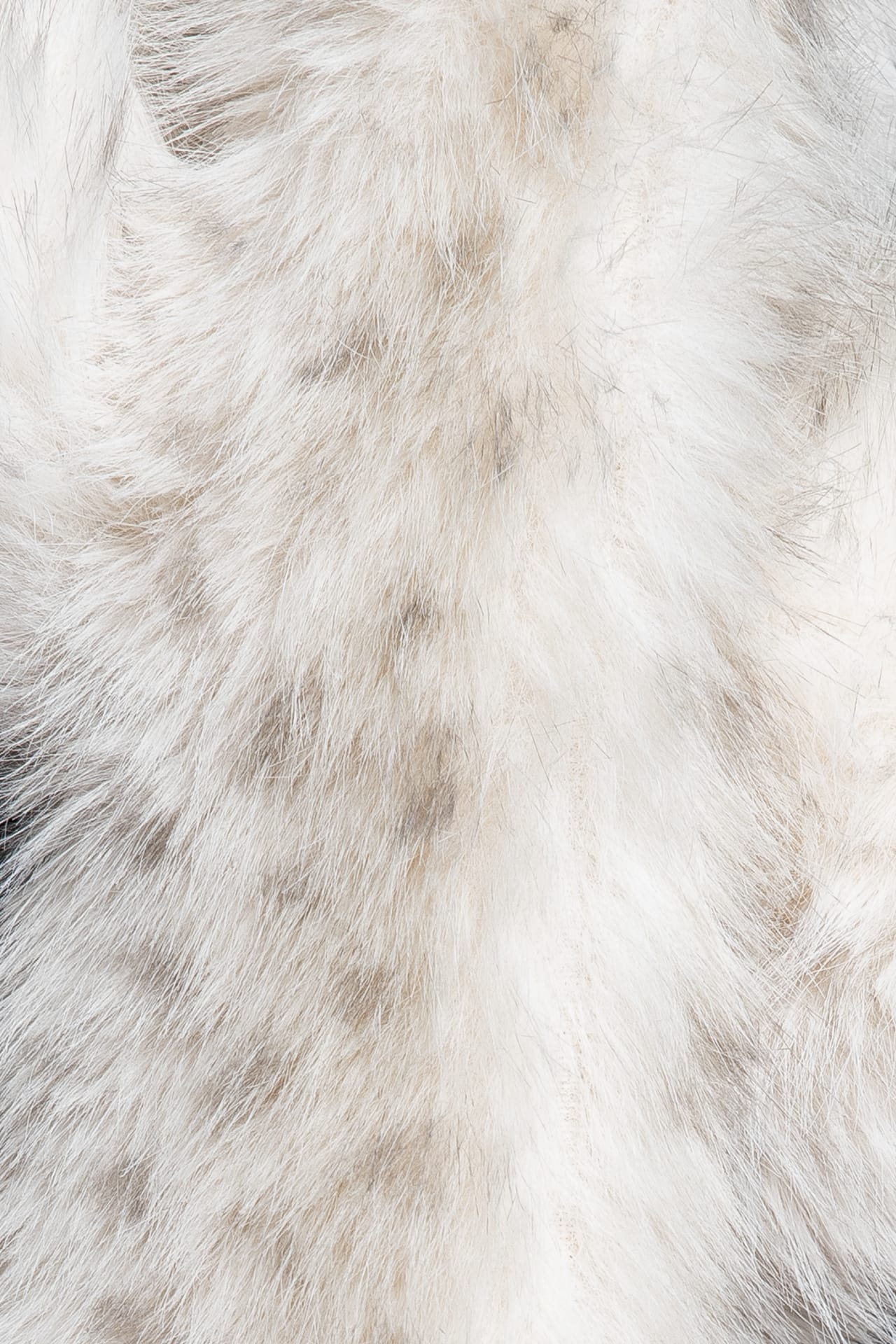 d284ecb9787c4e66185c8170ea5432f3a8387152