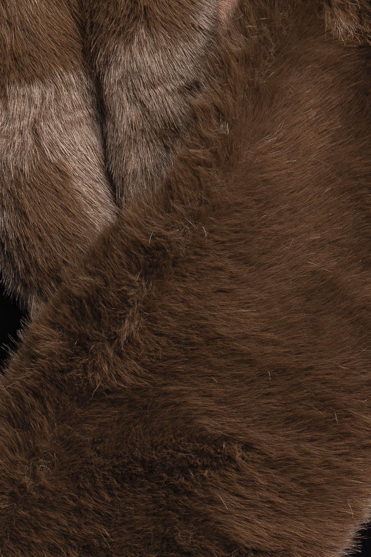 0a84a005a8c7e5687d4687bf47af400aabf7bcd7