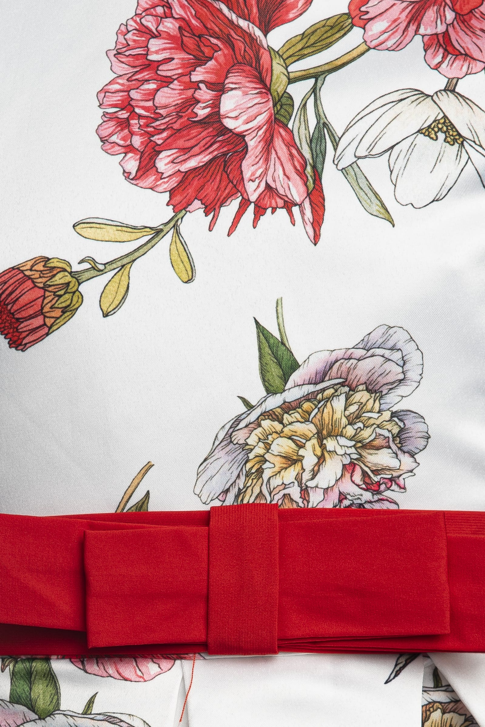 4889def936170d75d2b6dc935d214b13d13e7d8d