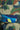99fb8eae9fa09a74194199bc3a7866263c17c6da