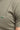 6d27fa5b69cc707ee3a6aa5f513e0e70ba1fda52