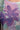 f197fecab012e47795e66c5ebc7ca19d6fdbff7c