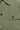 b8e66c43474864e8c53b46f434ce5b8786c3d9f0