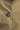 f9bddd1d41c7c168f6a4de3f8aa9f10d8ced2724