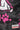 a4e1a356243a84ffa2da2caa64b23c3fe0fefc9c