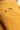 9746bf3ee956c312833a11cc108e68819f16c776